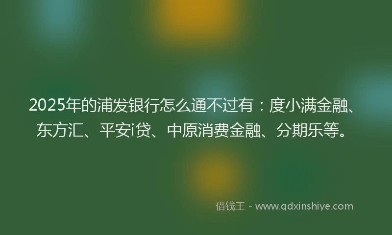 2025年的浦发银行怎么通不过有：度小满金融、东方汇、平安i贷、中原消费金融、分期乐等。