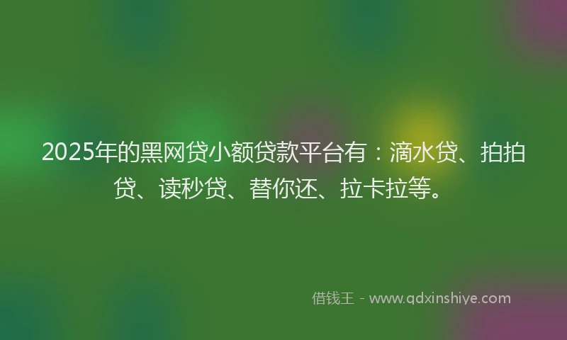 2025年的黑网贷小额贷款平台有：滴水贷、拍拍贷、读秒贷、替你还、拉卡拉等。