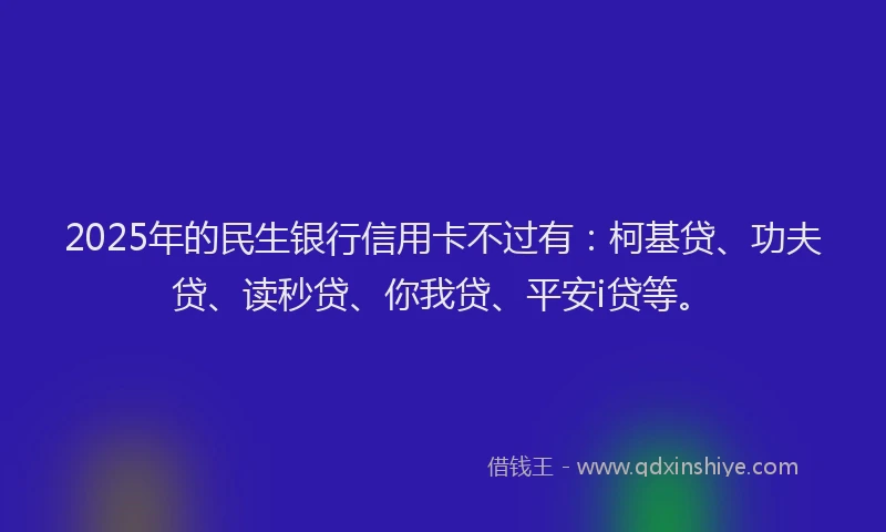 2025年的民生银行信用卡不过有：柯基贷、功夫贷、读秒贷、你我贷、平安i贷等。
