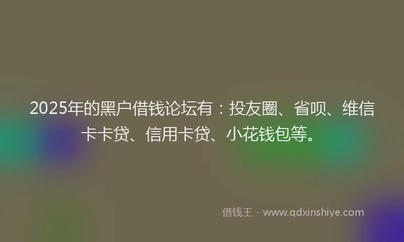 2025年的黑户借钱论坛有：投友圈、省呗、维信卡卡贷、信用卡贷、小花钱包等。