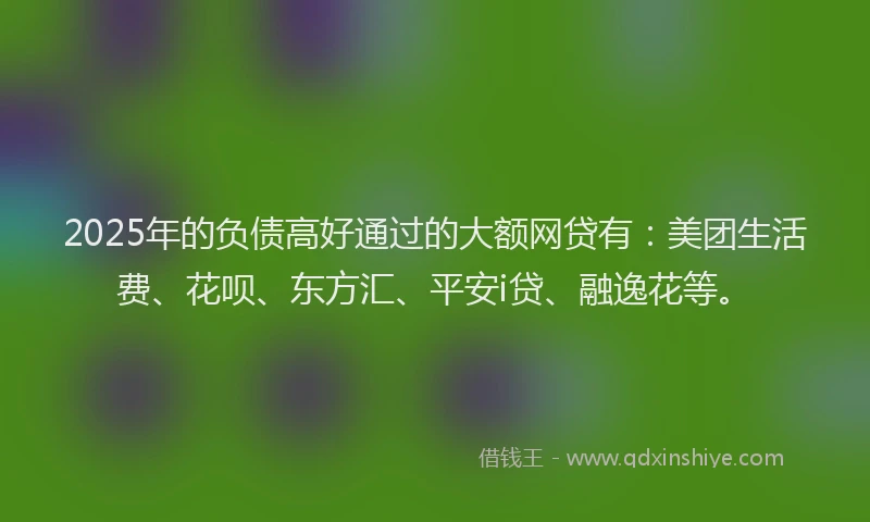 2025年的负债高好通过的大额网贷有：美团生活费、花呗、东方汇、平安i贷、融逸花等。