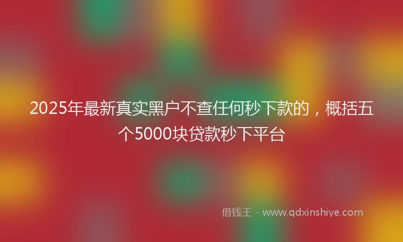 2025年最新真实黑户不查任何秒下款的，概括五个5000块贷款秒下平台