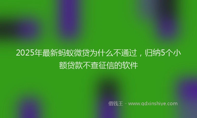 2025年最新蚂蚁微贷为什么不通过，归纳5个小额贷款不查征信的软件