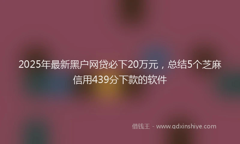 2025年最新黑户网贷必下20万元，总结5个芝麻信用439分下款的软件