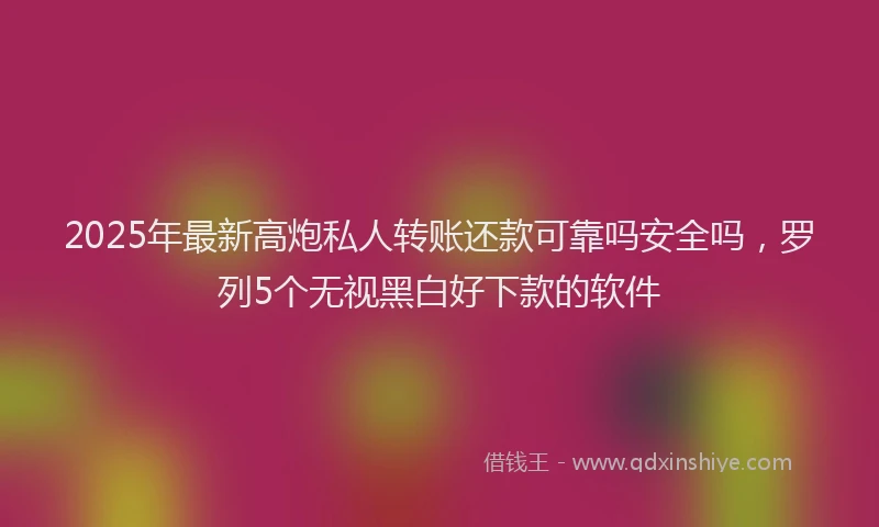 2025年最新高炮私人转账还款可靠吗安全吗，罗列5个无视黑白好下款的软件
