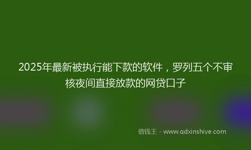 2025年最新被执行能下款的软件，罗列五个不审核夜间直接放款的网贷口子