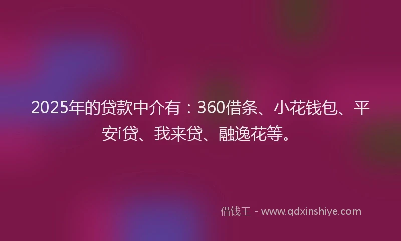 2025年的贷款中介有：360借条、小花钱包、平安i贷、我来贷、融逸花等。