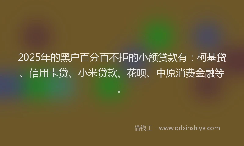 2025年的黑户百分百不拒的小额贷款有：柯基贷、信用卡贷、小米贷款、花呗、中原消费金融等。