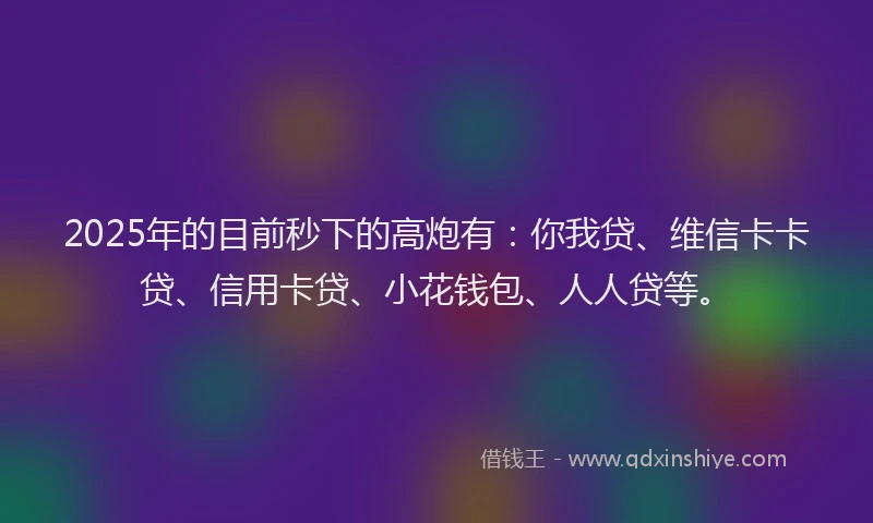 2025年的目前秒下的高炮有：你我贷、维信卡卡贷、信用卡贷、小花钱包、人人贷等。