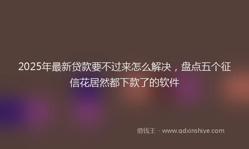 2025年最新贷款要不过来怎么解决，盘点五个征信花居然都下款了的软件