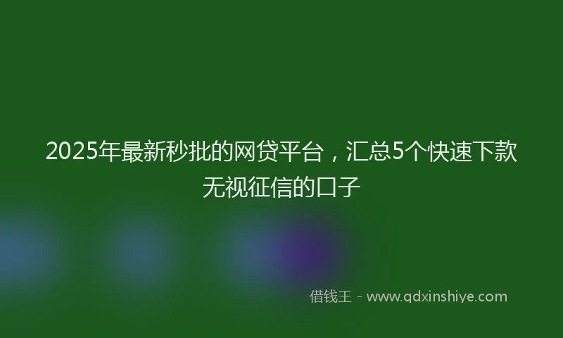 2025年最新秒批的网贷平台，汇总5个快速下款无视征信的口子
