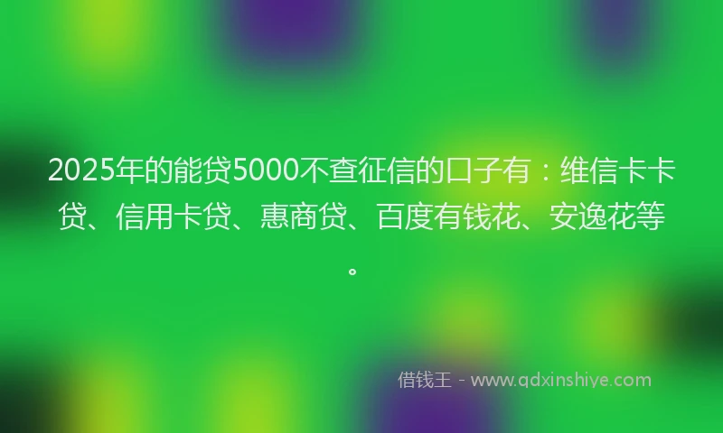 2025年的能贷5000不查征信的口子有：维信卡卡贷、信用卡贷、惠商贷、百度有钱花、安逸花等。