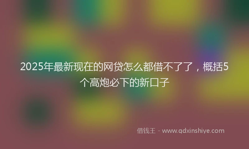 2025年最新现在的网贷怎么都借不了了，概括5个高炮必下的新口子