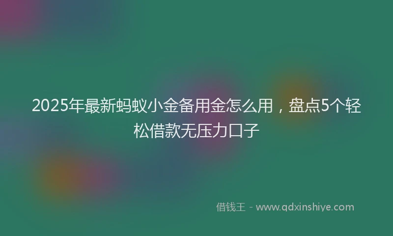 2025年最新蚂蚁小金备用金怎么用，盘点5个轻松借款无压力口子