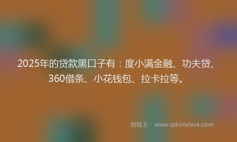 2025年的贷款黑口子有：度小满金融、功夫贷、360借条、小花钱包、拉卡拉等。
