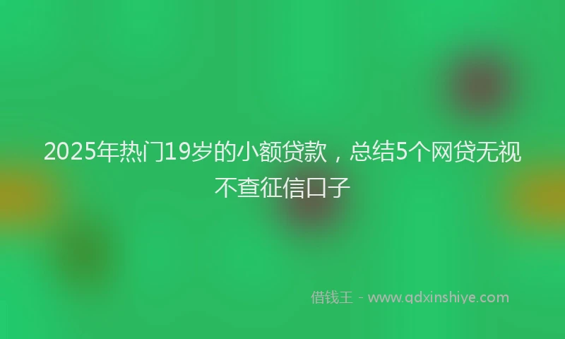 2025年热门19岁的小额贷款，总结5个网贷无视不查征信口子