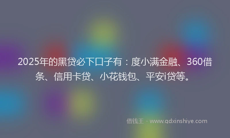 2025年的黑贷必下口子有：度小满金融、360借条、信用卡贷、小花钱包、平安i贷等。