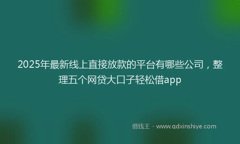2025年最新线上直接放款的平台有哪些公司，整理五个网贷大口子轻松借app