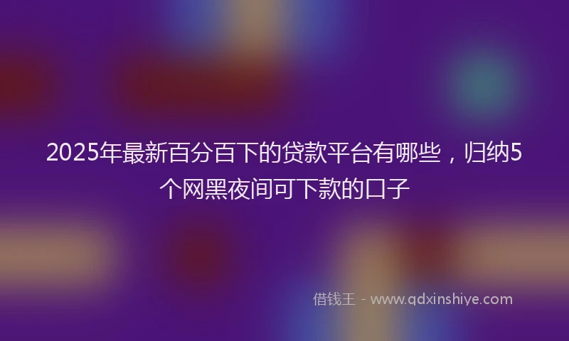 2025年最新百分百下的贷款平台有哪些，归纳5个网黑夜间可下款的口子