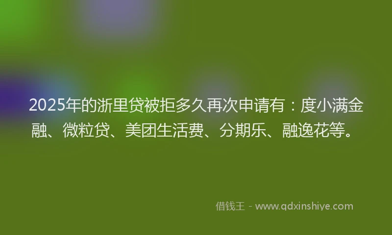 2025年的浙里贷被拒多久再次申请有：度小满金融、微粒贷、美团生活费、分期乐、融逸花等。