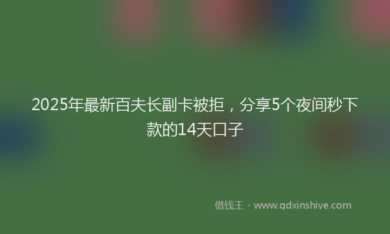 2025年最新百夫长副卡被拒，分享5个夜间秒下款的14天口子
