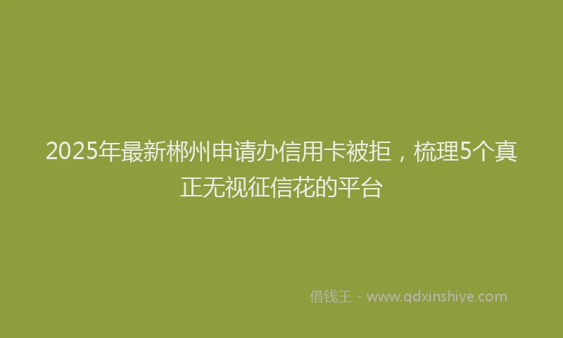 2025年最新郴州申请办信用卡被拒，梳理5个真正无视征信花的平台