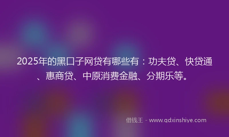 2025年的黑口子网贷有哪些有：功夫贷、快贷通、惠商贷、中原消费金融、分期乐等。