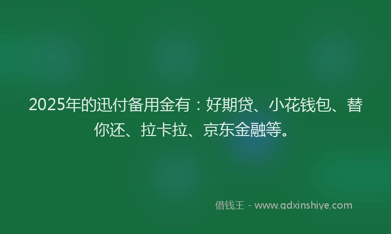 2025年的迅付备用金有：好期贷、小花钱包、替你还、拉卡拉、京东金融等。