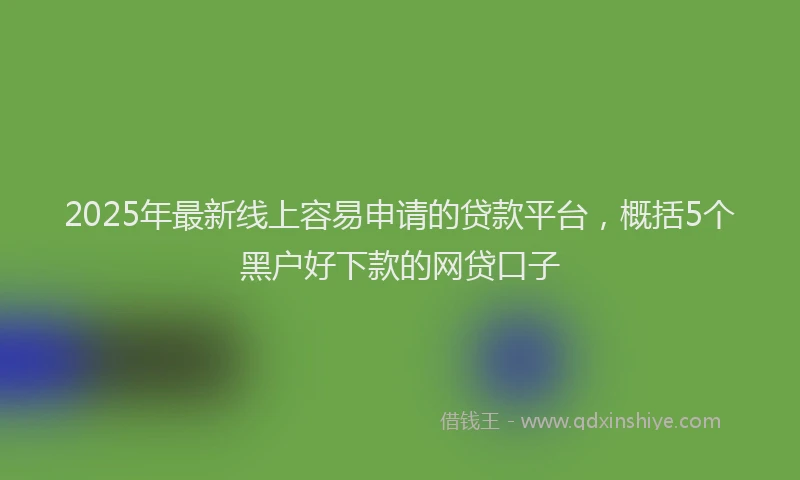 2025年最新线上容易申请的贷款平台，概括5个黑户好下款的网贷口子