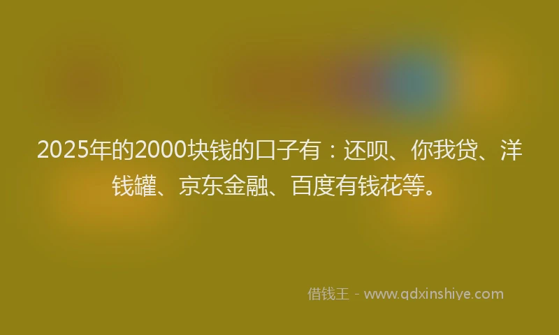 2025年的2000块钱的口子有：还呗、你我贷、洋钱罐、京东金融、百度有钱花等。