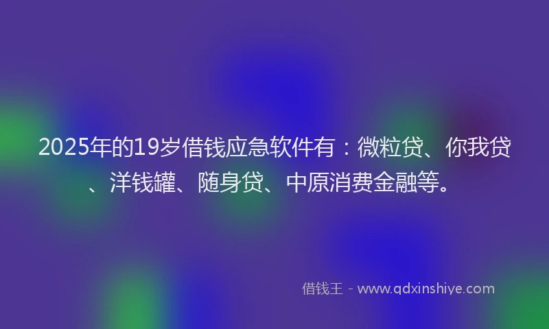 2025年的19岁借钱应急软件有：微粒贷、你我贷、洋钱罐、随身贷、中原消费金融等。