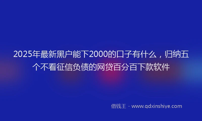 2025年最新黑户能下2000的口子有什么，归纳五个不看征信负债的网贷百分百下款软件