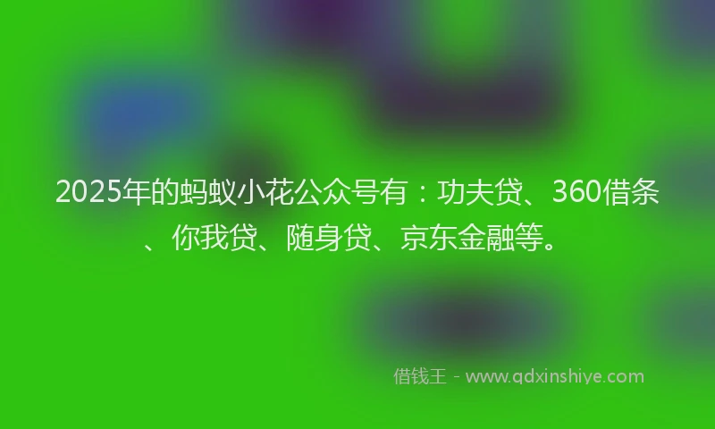 2025年的蚂蚁小花公众号有：功夫贷、360借条、你我贷、随身贷、京东金融等。