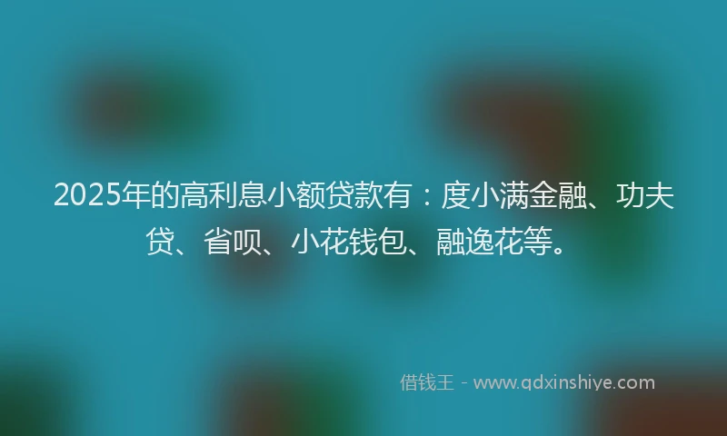 2025年的高利息小额贷款有：度小满金融、功夫贷、省呗、小花钱包、融逸花等。