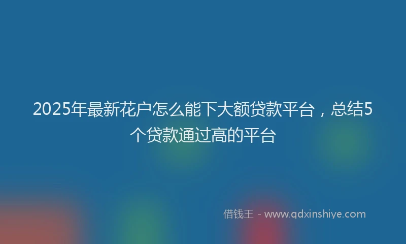 2025年最新花户怎么能下大额贷款平台，总结5个贷款通过高的平台