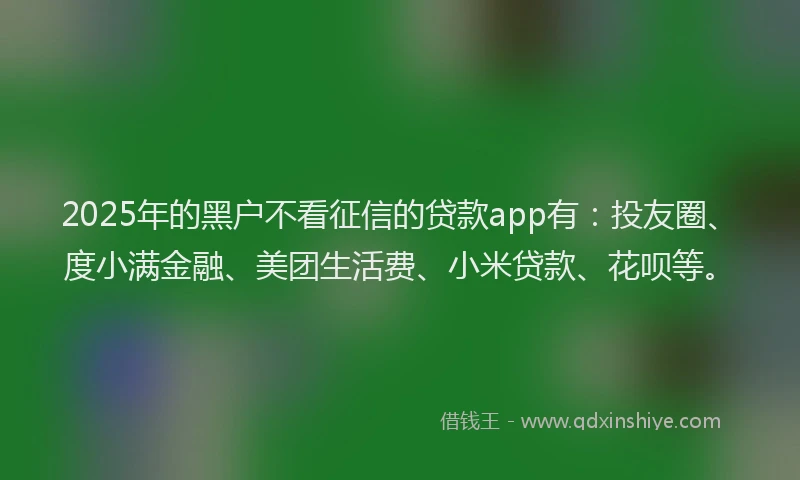 2025年的黑户不看征信的贷款app有：投友圈、度小满金融、美团生活费、小米贷款、花呗等。