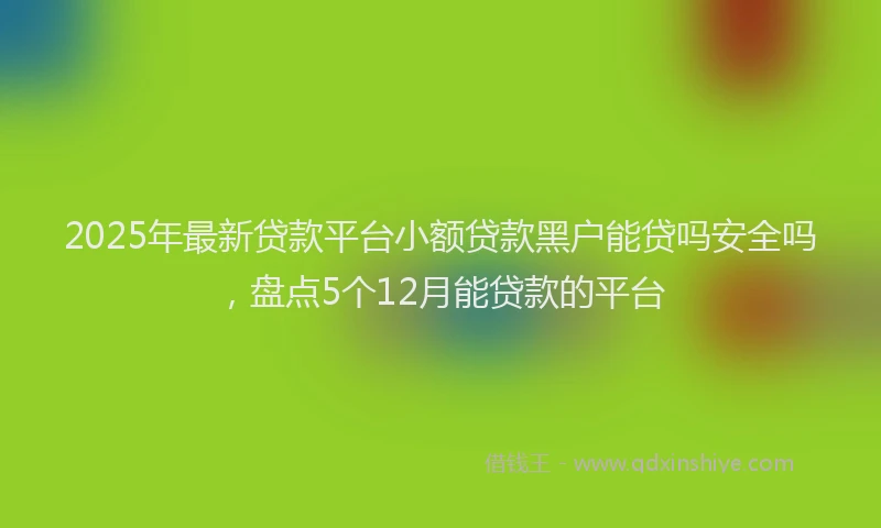 2025年最新贷款平台小额贷款黑户能贷吗安全吗，盘点5个12月能贷款的平台