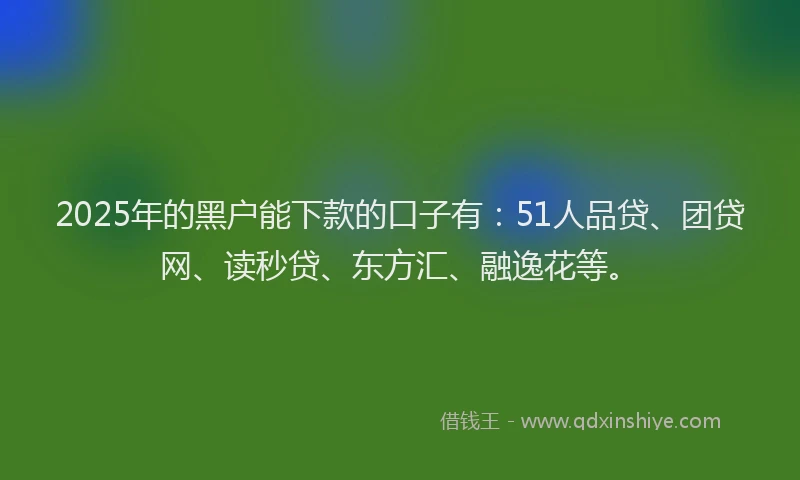 2025年的黑户能下款的口子有：51人品贷、团贷网、读秒贷、东方汇、融逸花等。