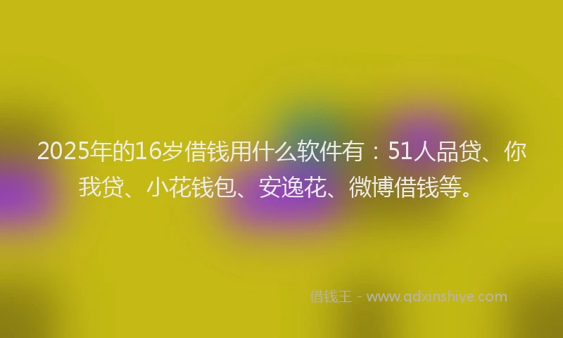 2025年的16岁借钱用什么软件有：51人品贷、你我贷、小花钱包、安逸花、微博借钱等。