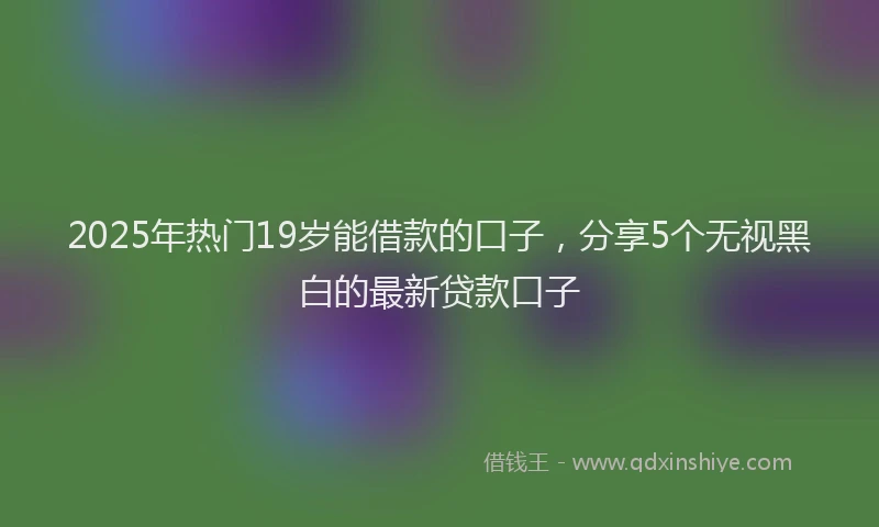 2025年热门19岁能借款的口子，分享5个无视黑白的最新贷款口子