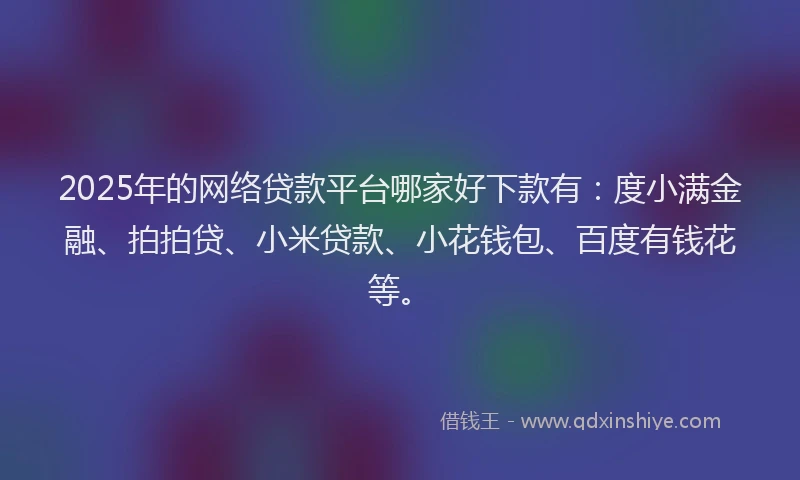 2025年的网络贷款平台哪家好下款有：度小满金融、拍拍贷、小米贷款、小花钱包、百度有钱花等。