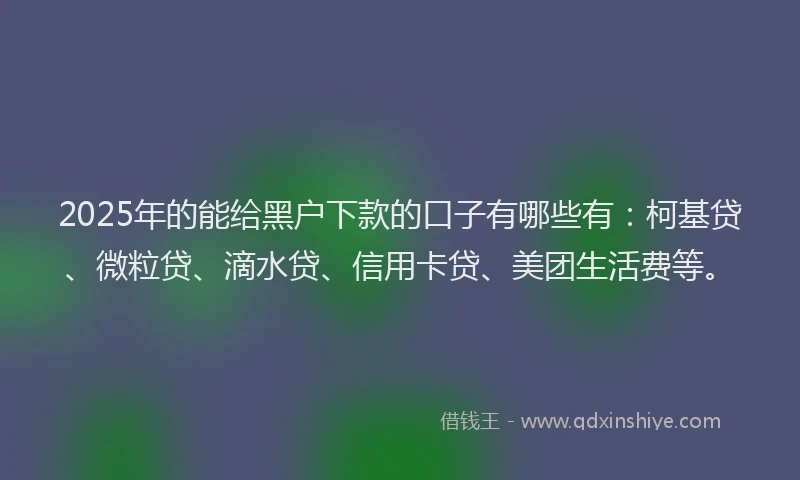 2025年的能给黑户下款的口子有哪些有：柯基贷、微粒贷、滴水贷、信用卡贷、美团生活费等。