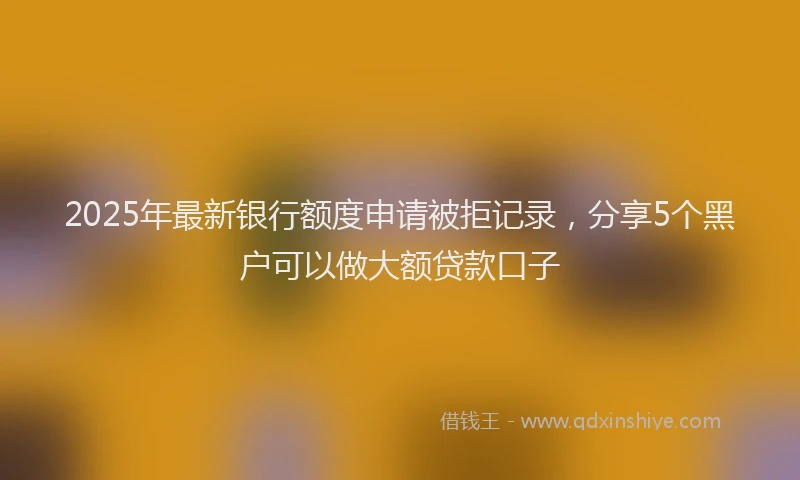 2025年最新银行额度申请被拒记录，分享5个黑户可以做大额贷款口子