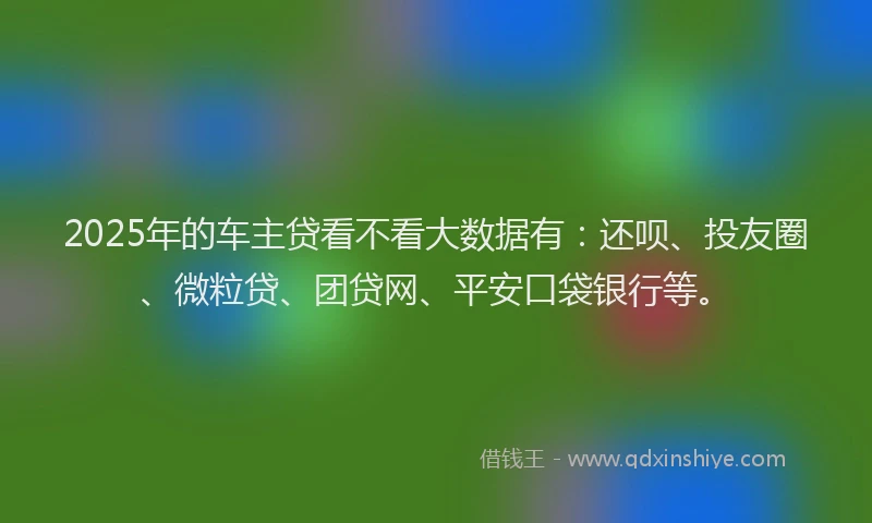 2025年的车主贷看不看大数据有：还呗、投友圈、微粒贷、团贷网、平安口袋银行等。