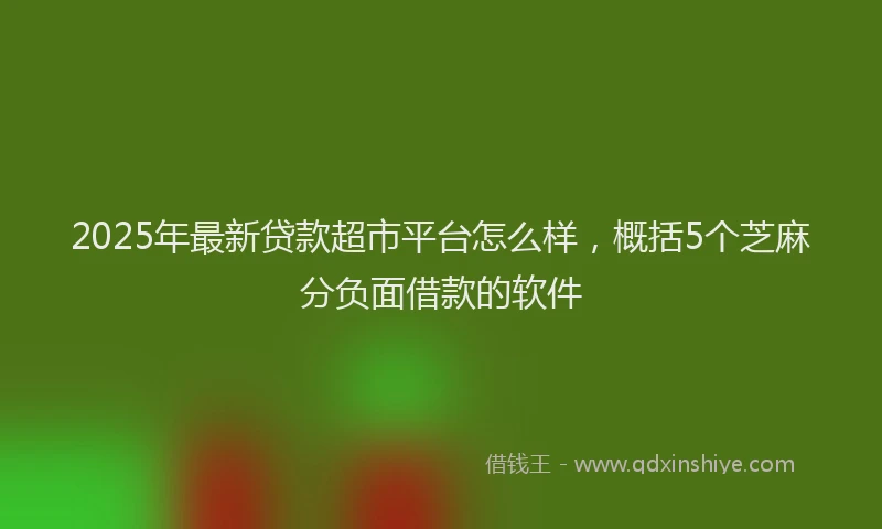 2025年最新贷款超市平台怎么样，概括5个芝麻分负面借款的软件