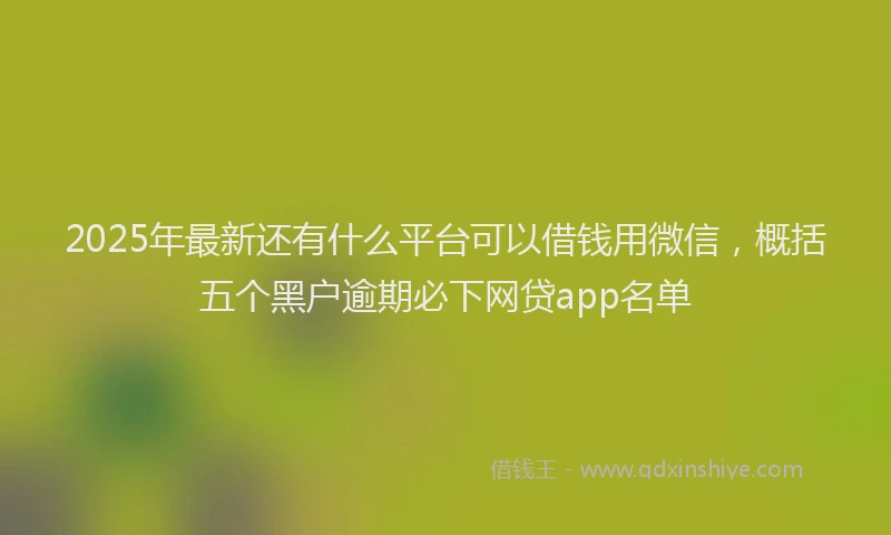 2025年最新还有什么平台可以借钱用微信，概括五个黑户逾期必下网贷app名单