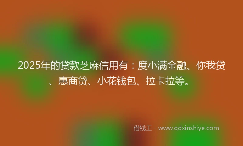 2025年的贷款芝麻信用有：度小满金融、你我贷、惠商贷、小花钱包、拉卡拉等。