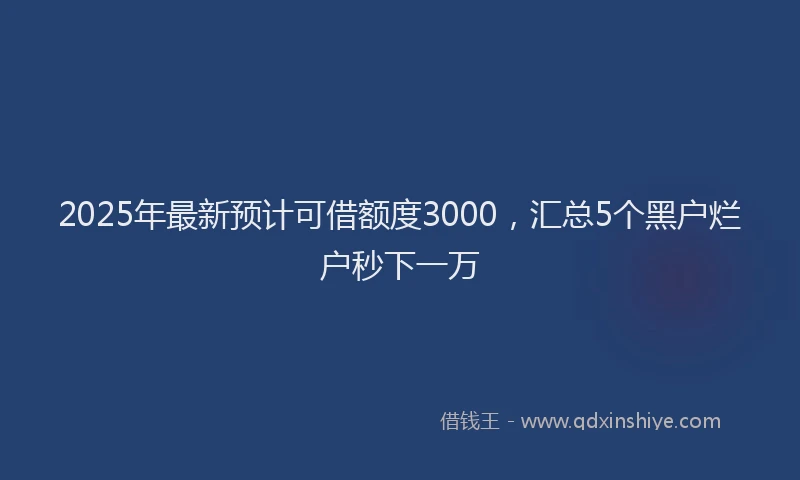 2025年最新预计可借额度3000，汇总5个黑户烂户秒下一万