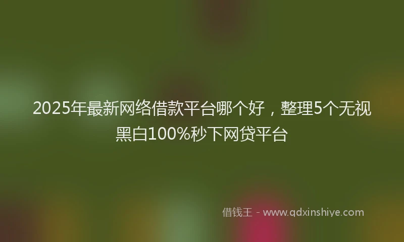 2025年最新网络借款平台哪个好，整理5个无视黑白100%秒下网贷平台