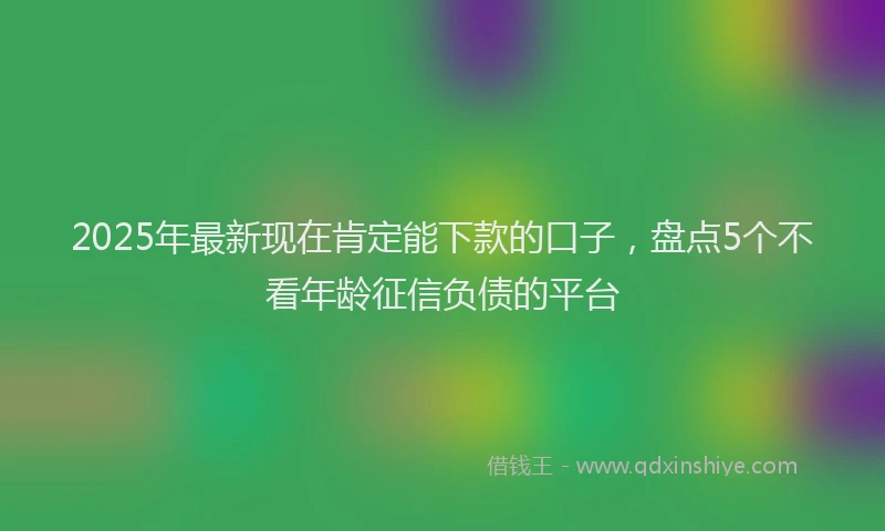 2025年最新现在肯定能下款的口子，盘点5个不看年龄征信负债的平台